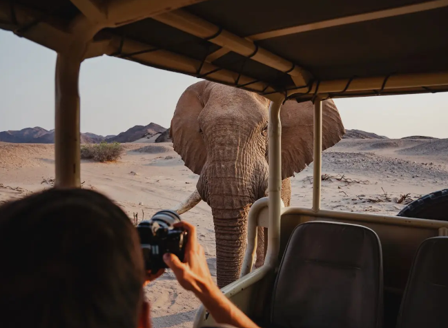 Hoanib Elephant Camp thumbnail 1